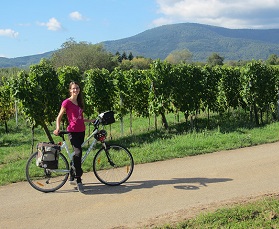 Escapade à vélo au coeur des vignobles alsaciens