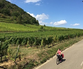 Radreise im Elsass von Straßburg nach Colmar