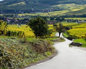 *Séjour d’exception* L’Alsace à vélo au cœur des vignobles