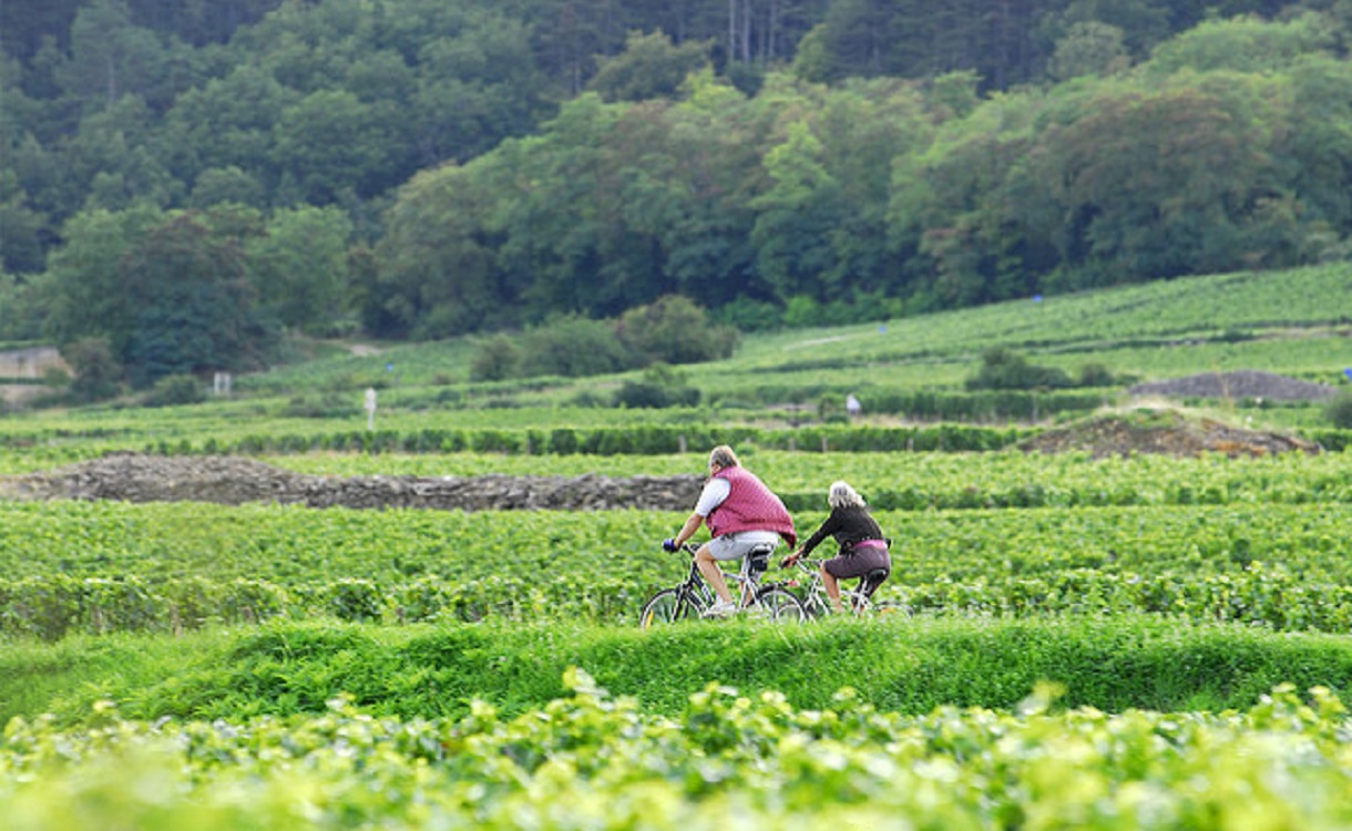 french wine bike tour