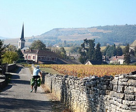 Fietsen in Bourgondië: een culinaire en oenologische reis.