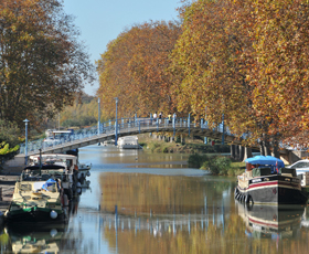 Cycling Canal du Midi from Carcassonne to Béziers