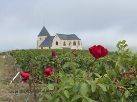 4 jours à vélo en Champagne de Reims à Epernay