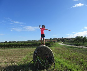 Cycling Istrian wine roads in Croatia