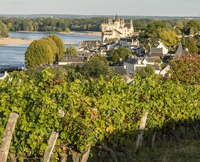 bicycle tours loire valley france *Luxury trip* Cycling the Loire Valley and its vineyards