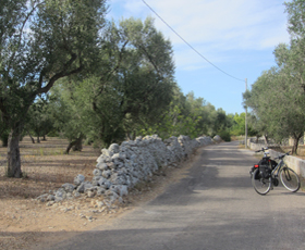 Explorez les sites Unesco des Pouilles à vélo !