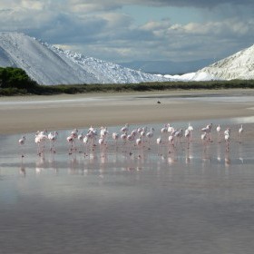 5-day bike trip in the heart of Camargue