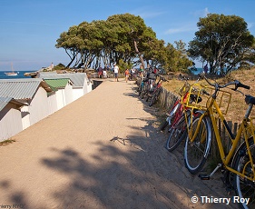 Vélodyssée : la côte Atlantique de La Rochelle à l’île d’Oléron