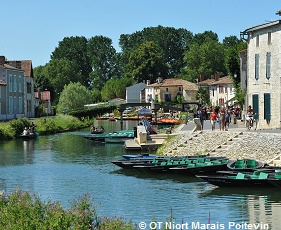 A vélo du marais poitevin aux plages de l´île de Ré