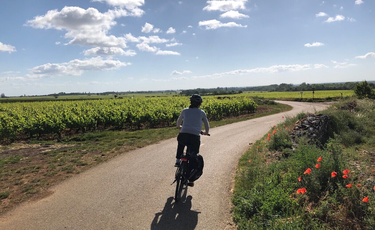 Burgundy hotsell bike trips