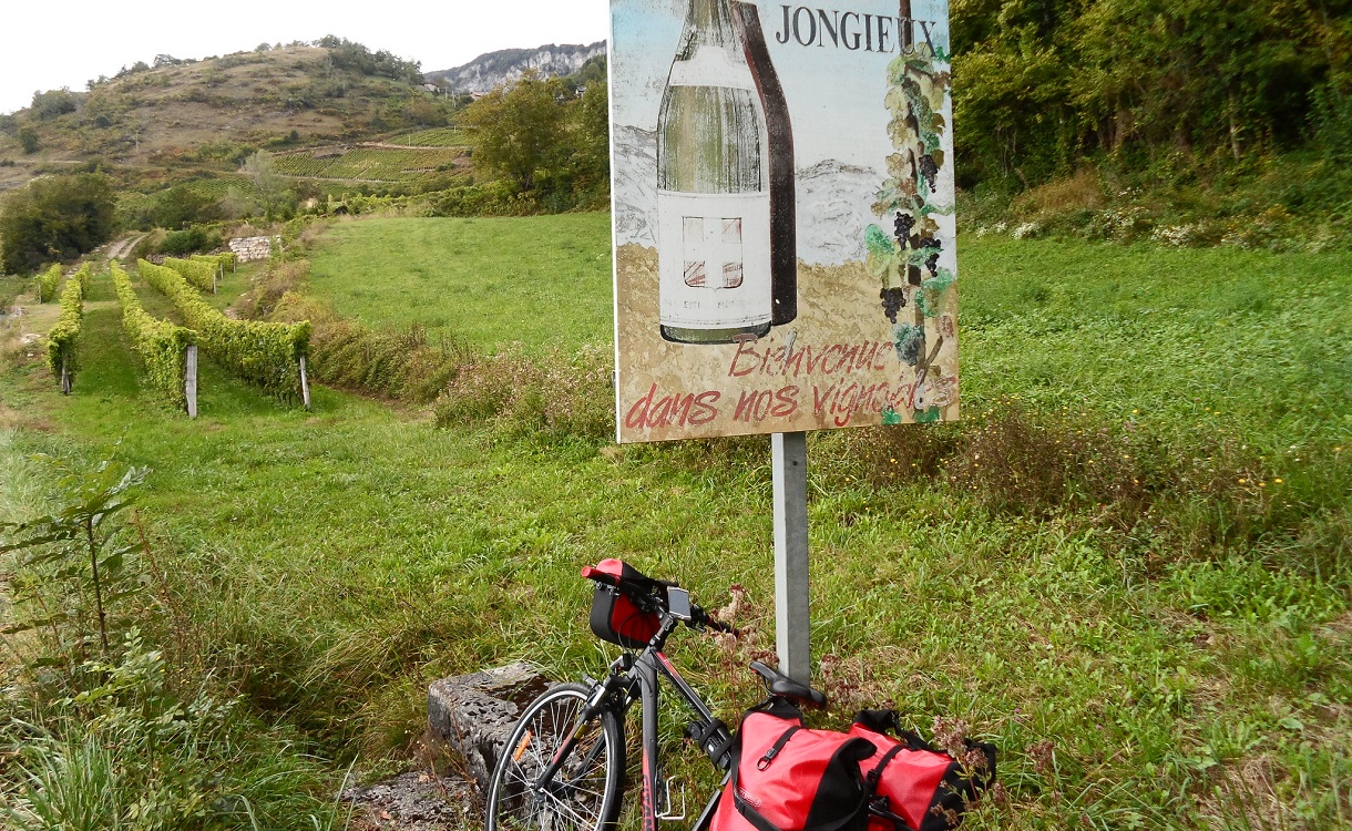 Velo best sale loopa bike