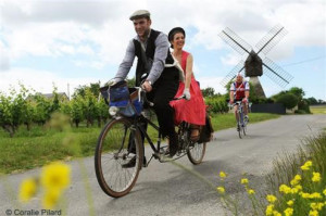 Anjou Vintage copy