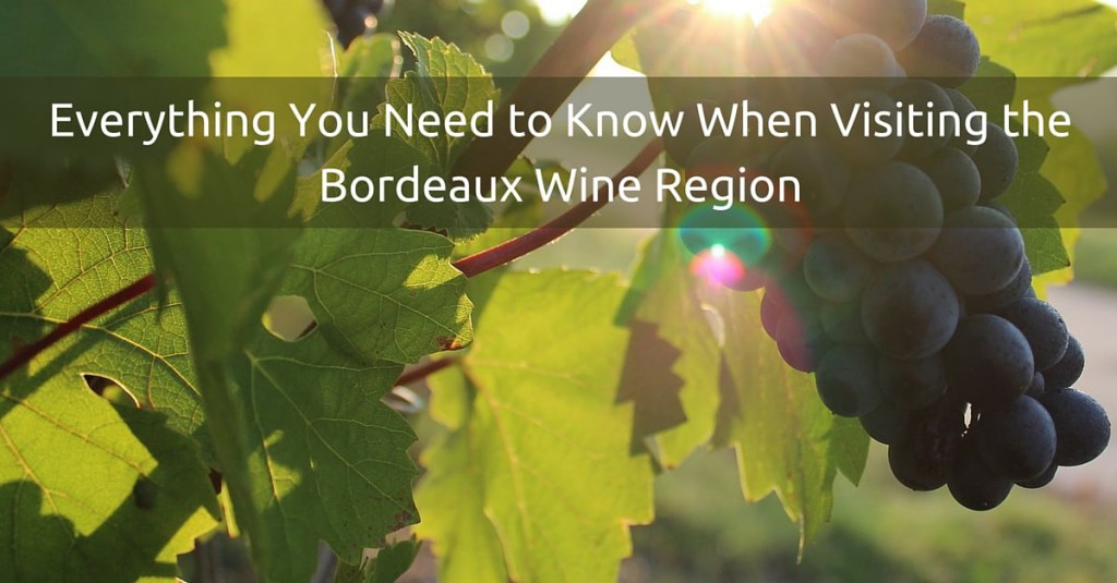 Everything You Need to Know When Visiting the Bordeaux Wine Region