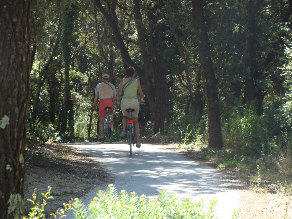 de Marennes à Royan sur la Vélodyssée