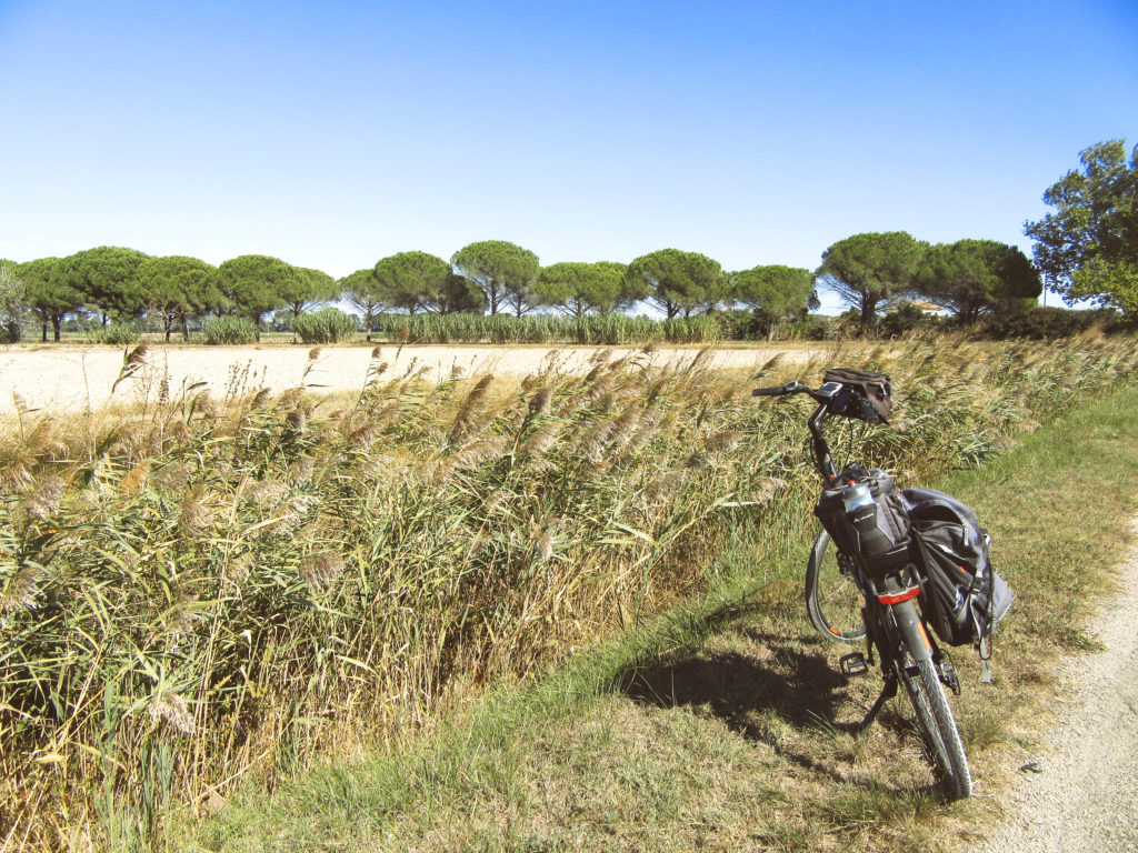 camargue a velo