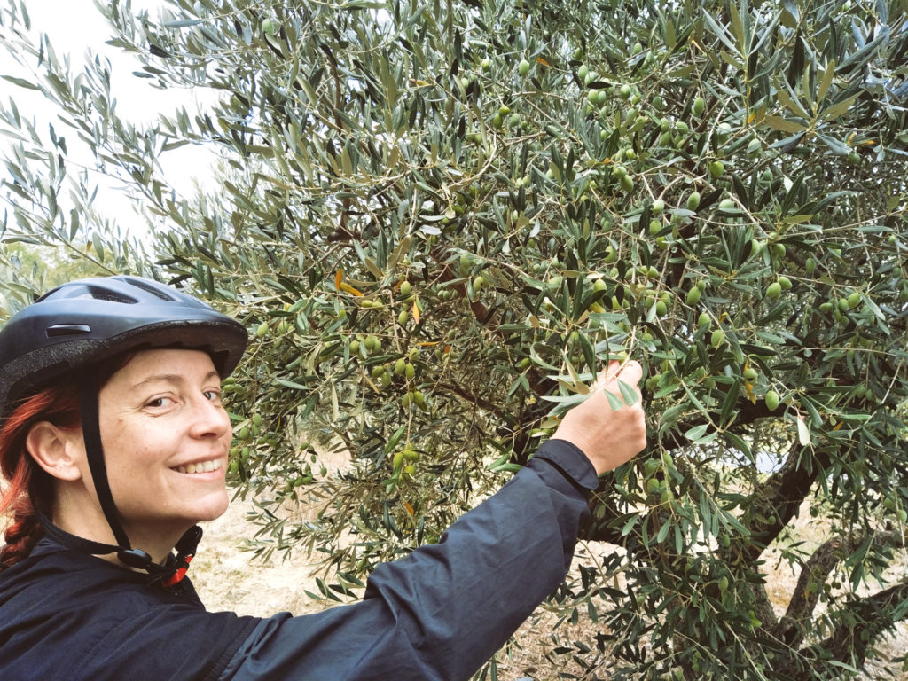 occitanie à vélo
