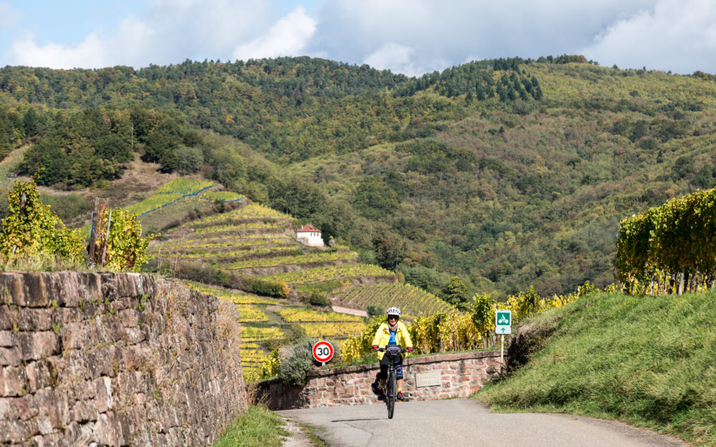 alsace à vélo