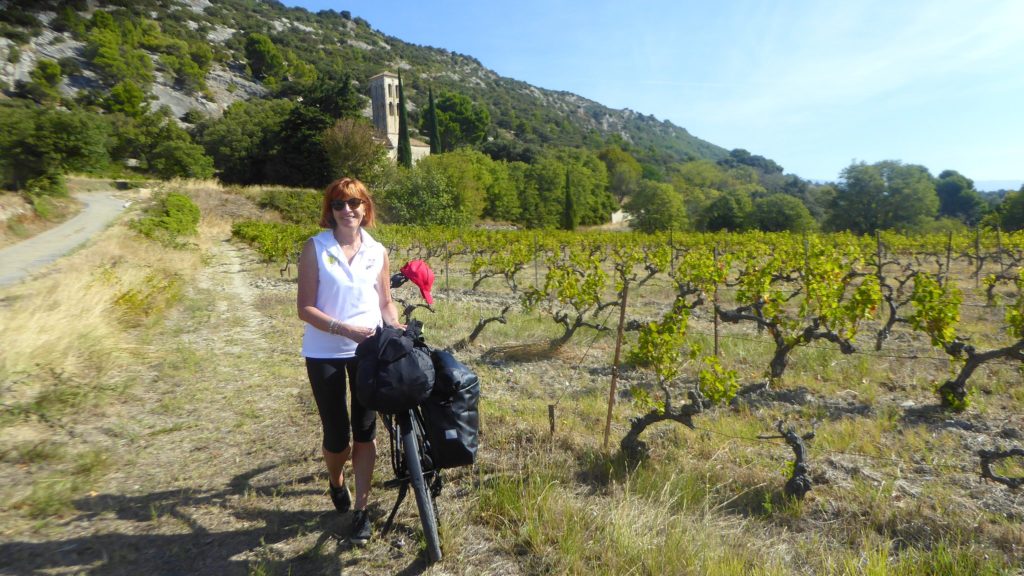 vignobles provence vélo