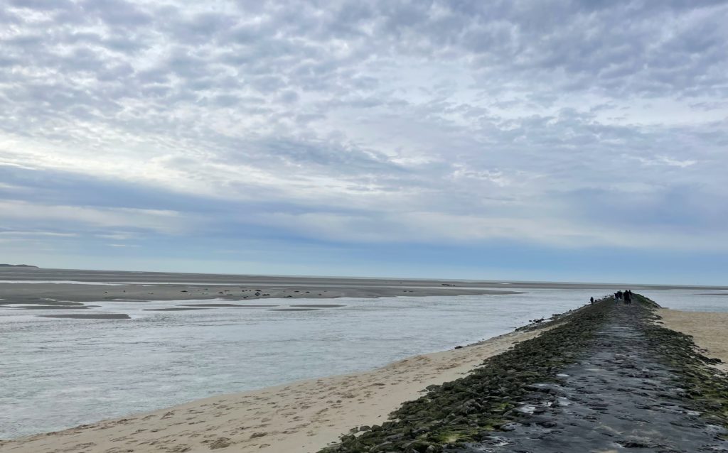 Baie d'Authie avec des phoques au loin
