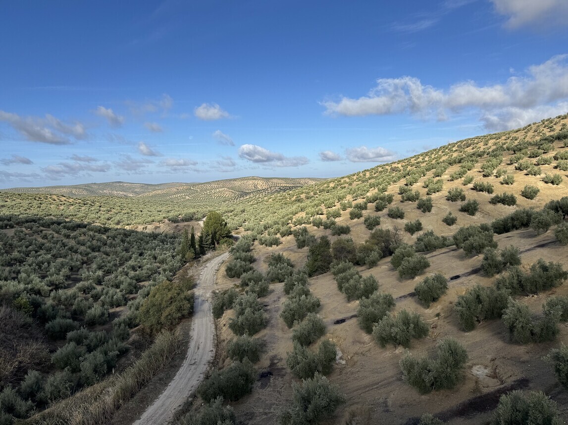 Cycling Andalusia, from Córdoba to Seville