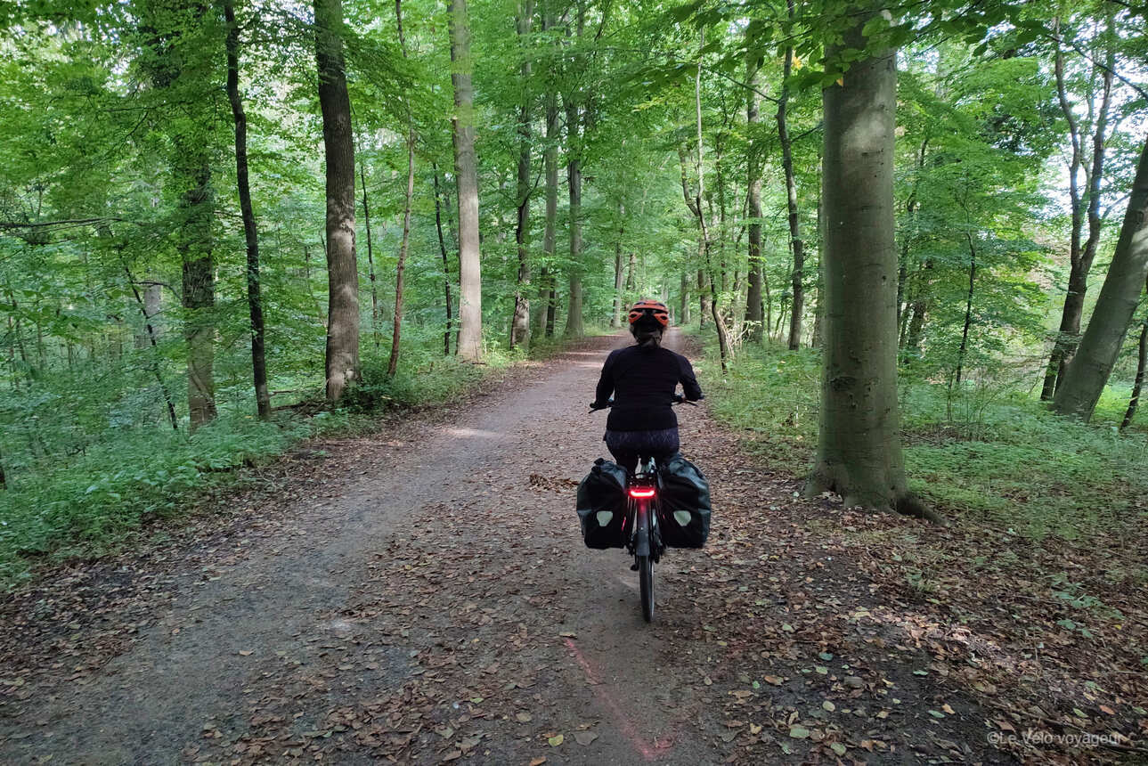 A long weekend in Brussels and surroundings