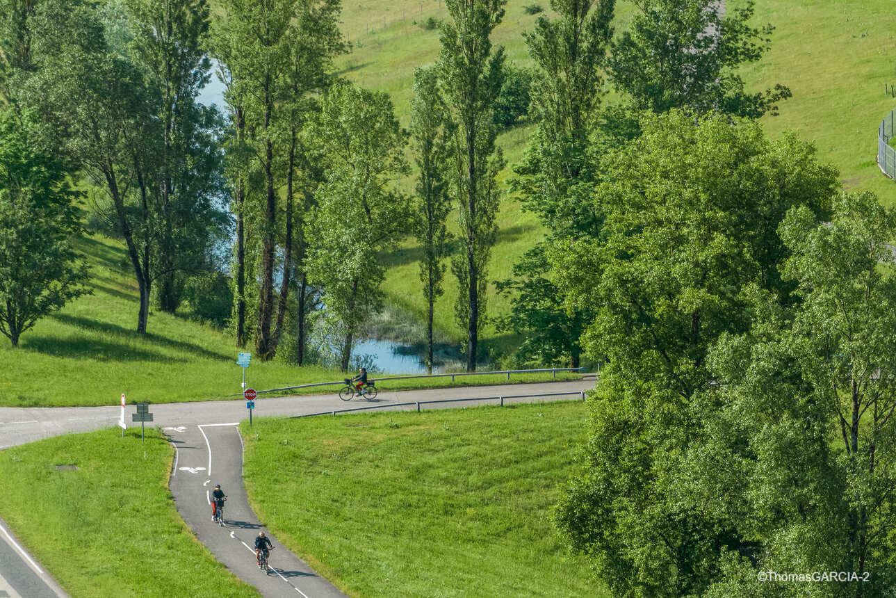 A biking journey along the ViaRhôna