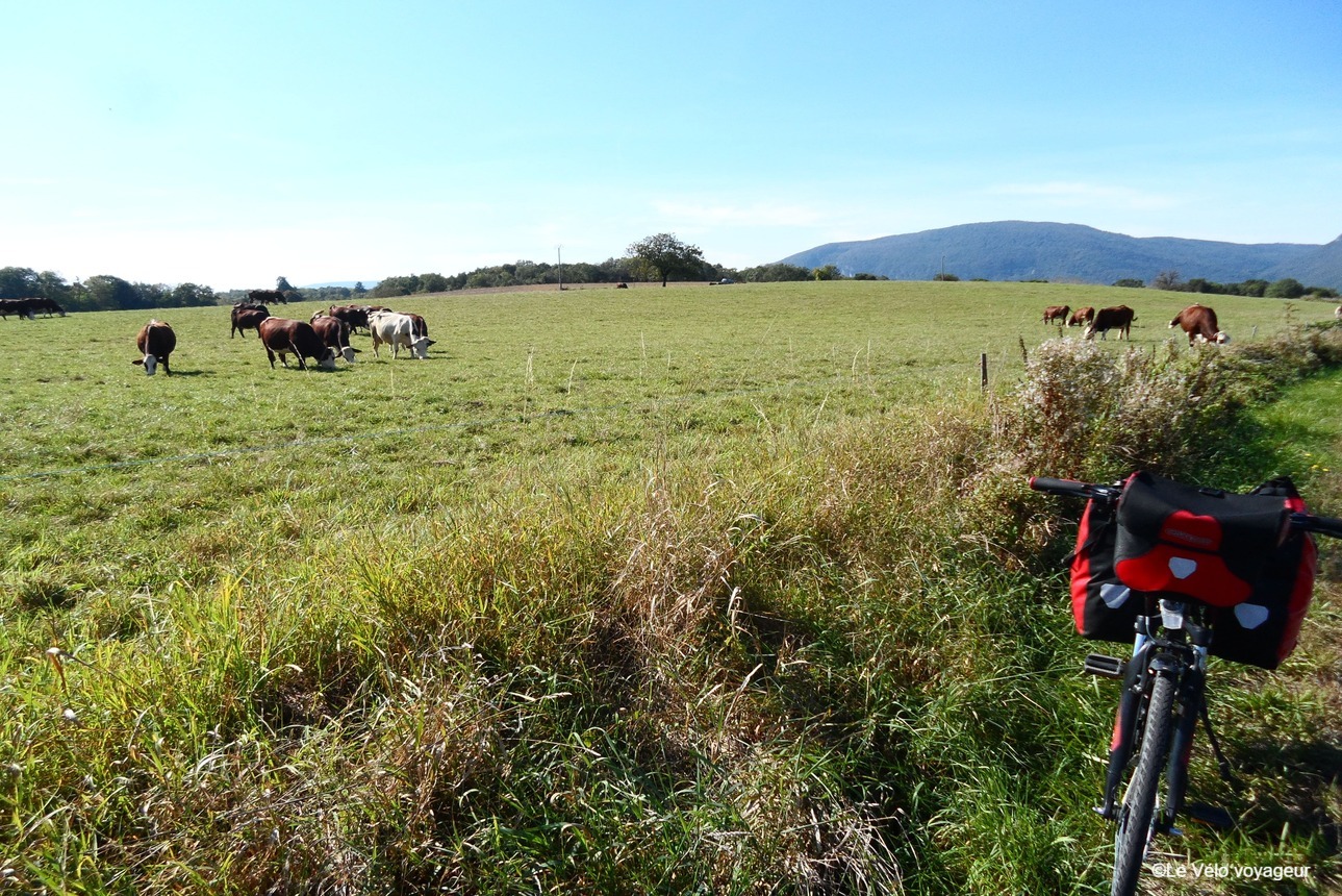 A 7-day bike trip on the ViaRhôna – from Seyssel to Lyon