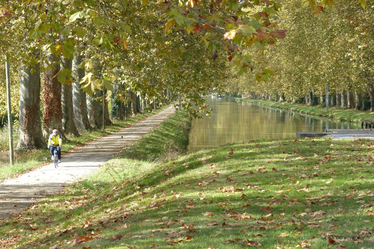 Cycle tour from Bordeaux to Agen from vineyards to canal