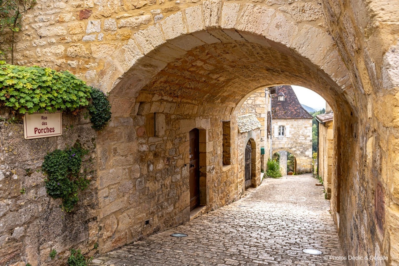 Cycling holiday in the Vézère and Dordogne valleys