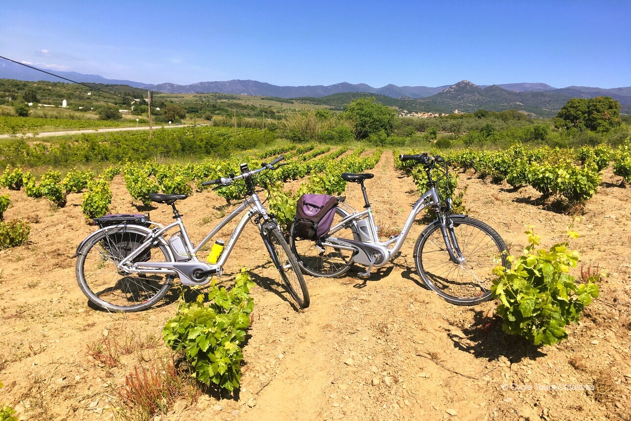Complete discovery of Catalonia by electric bike.
