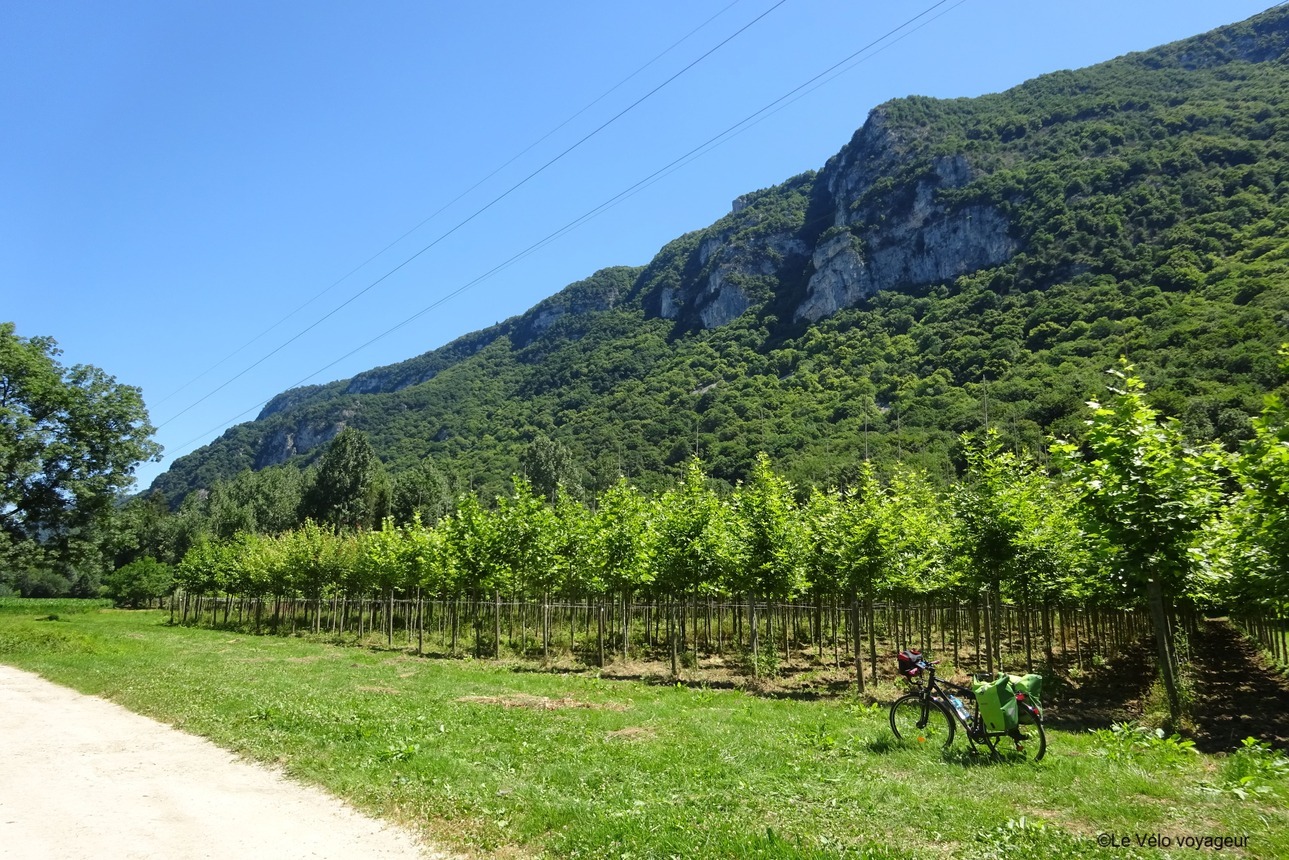 A biking journey along the ViaRhôna