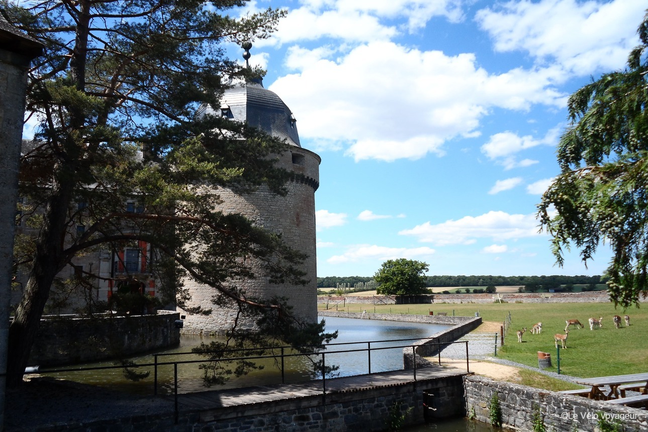 Loop bike tour in the heart of the Ardennes and Meuse river