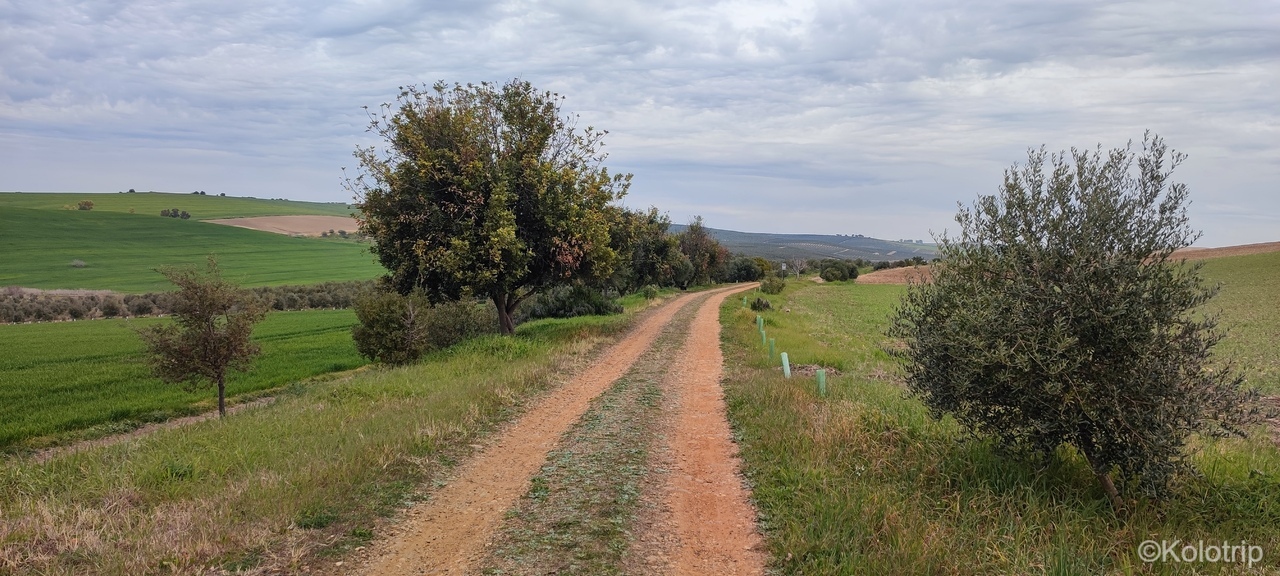 L&rsquo;Andalousie à vélo de Cordoue à Séville