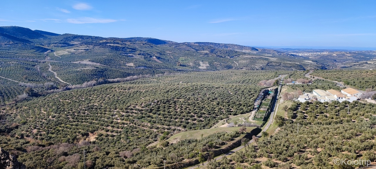L&rsquo;Andalousie authentique à vélo : oliveraies et villages espagnols