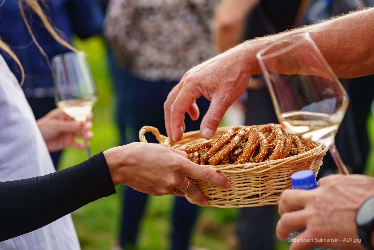 Luxury trip : The best of Alsace by bike