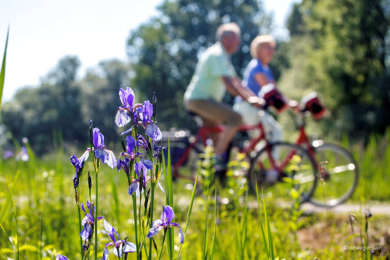 The easy Konstanz lake tour by bike