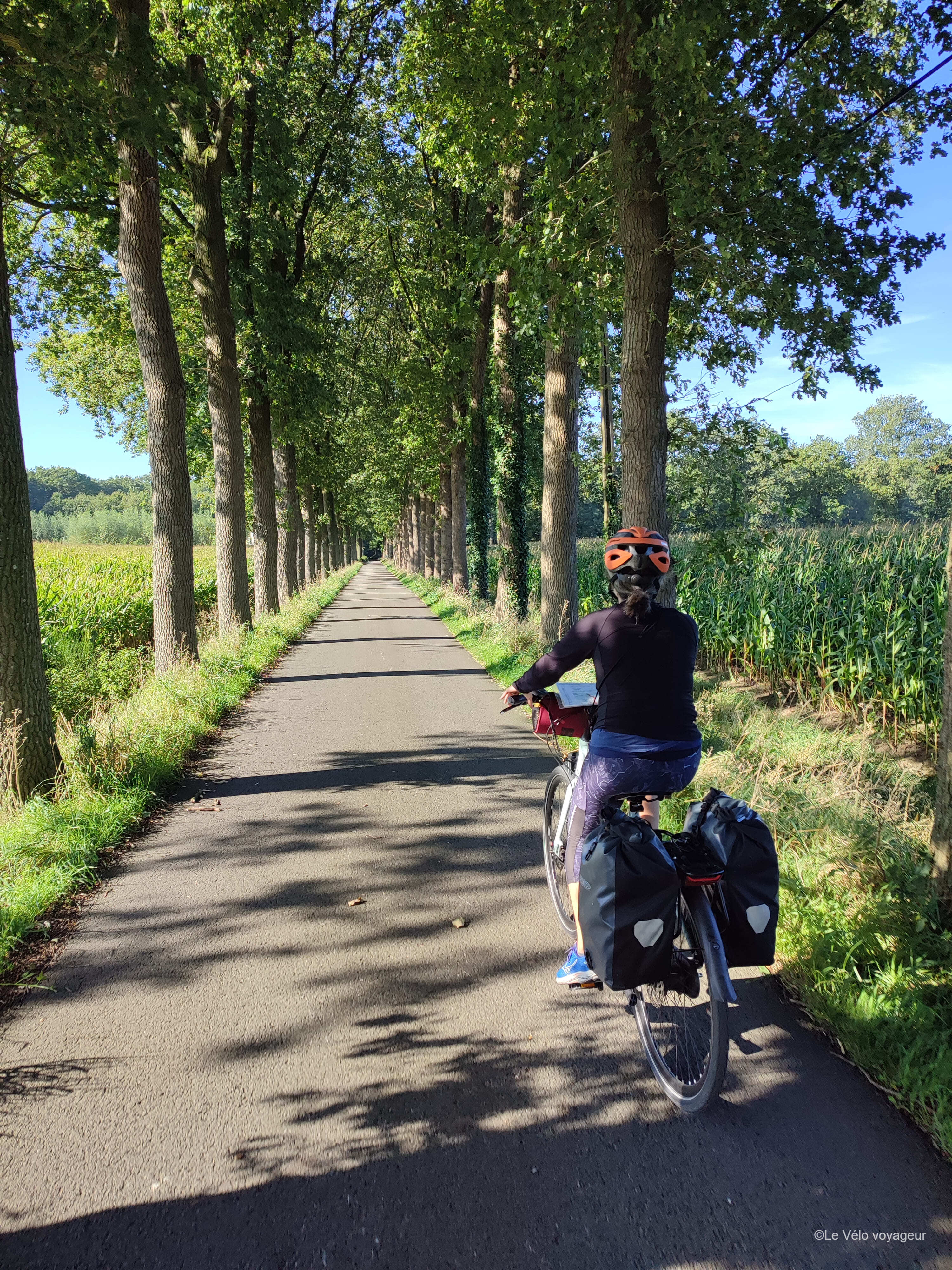Le tour de Flandre
