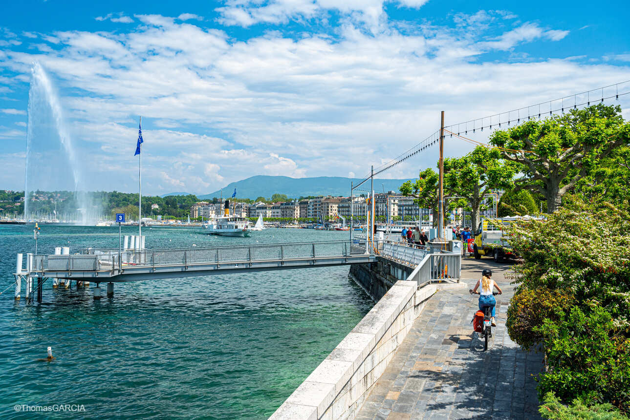 From Geneva to Lyon – a cycling adventure on the ViaRhôna