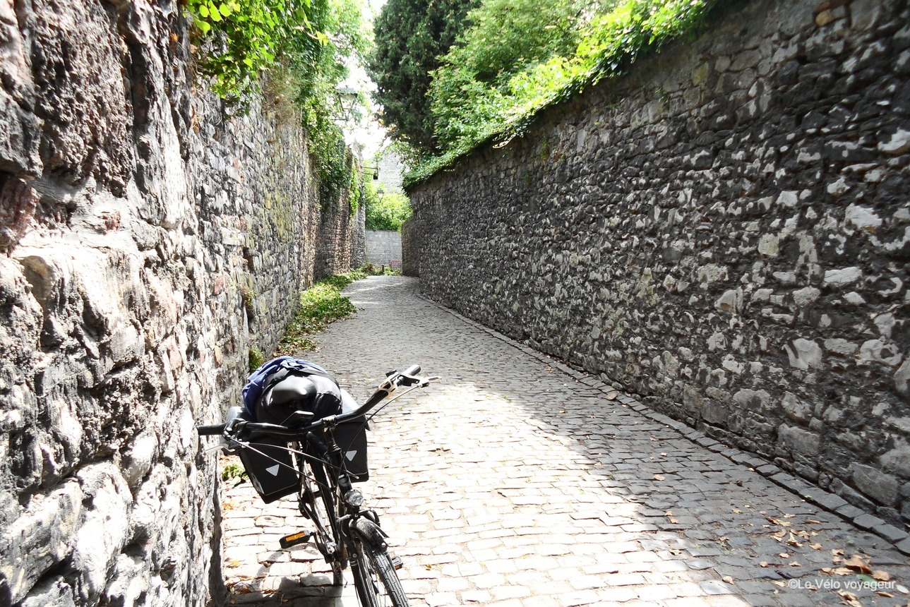 Loop bike tour in the heart of the Ardennes and Meuse river