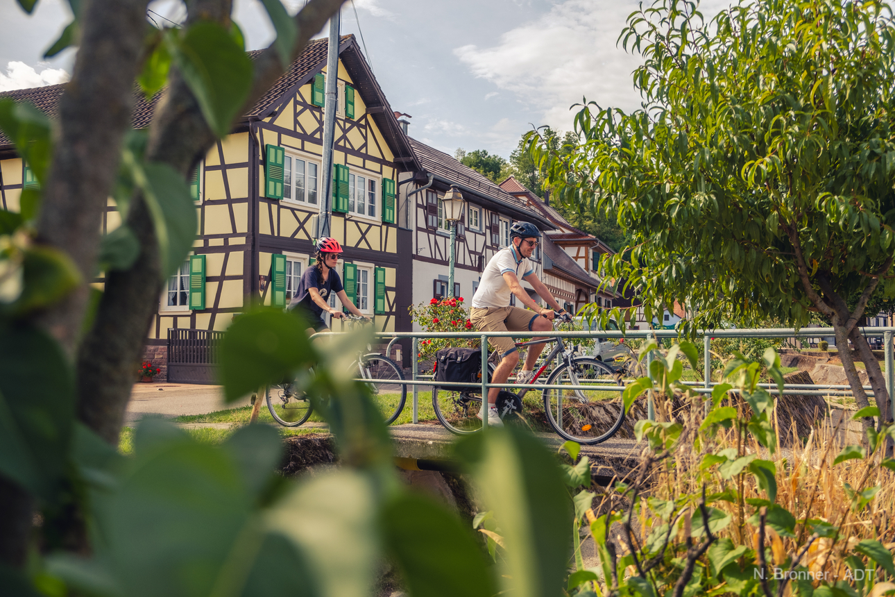 Alsace and Burgundy wine roads by bike, passing by the Doubs