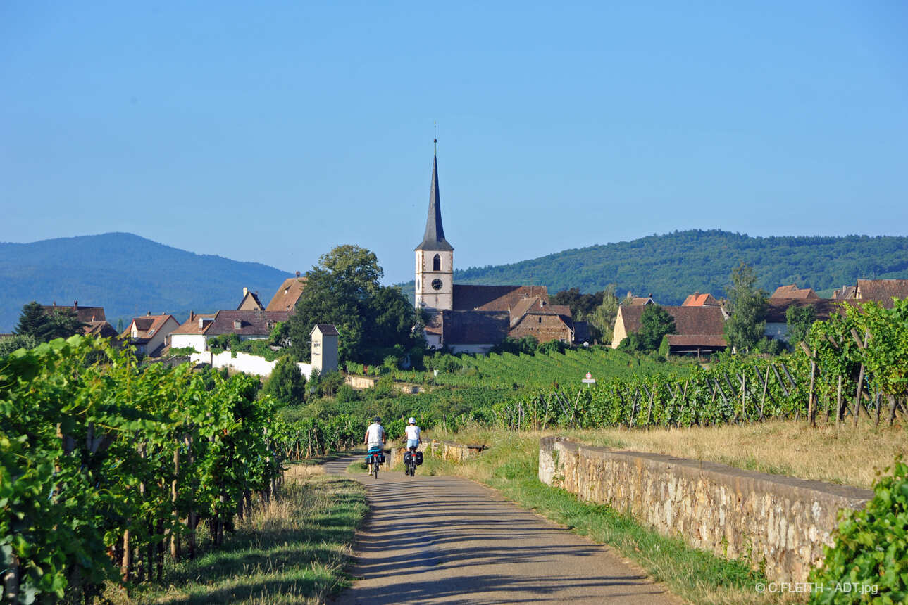 Escapade à vélo au coeur des vignobles alsaciens