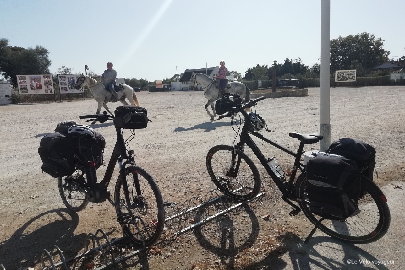 Cycling Provence and Camargue from Avignon to Nimes