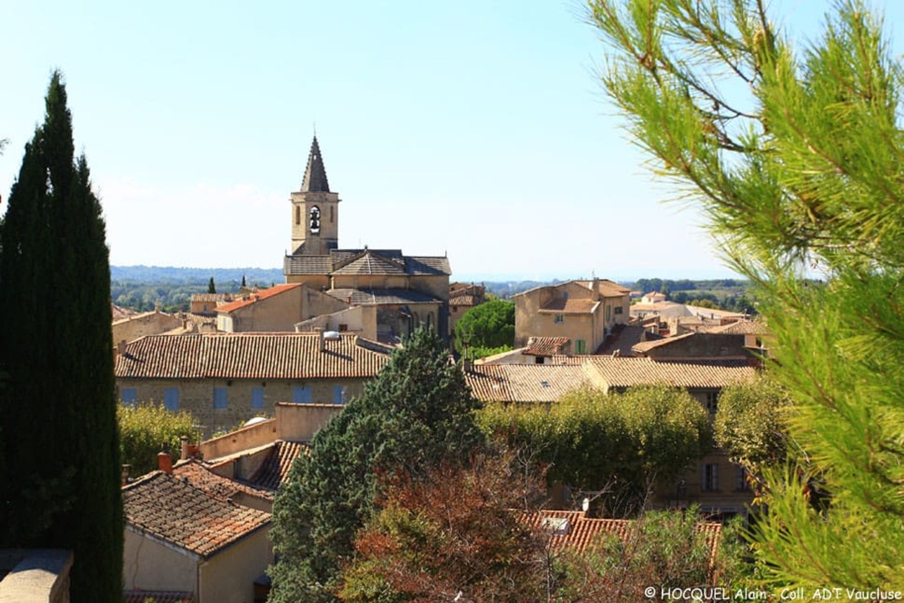 Biking Tour through Provence Gems