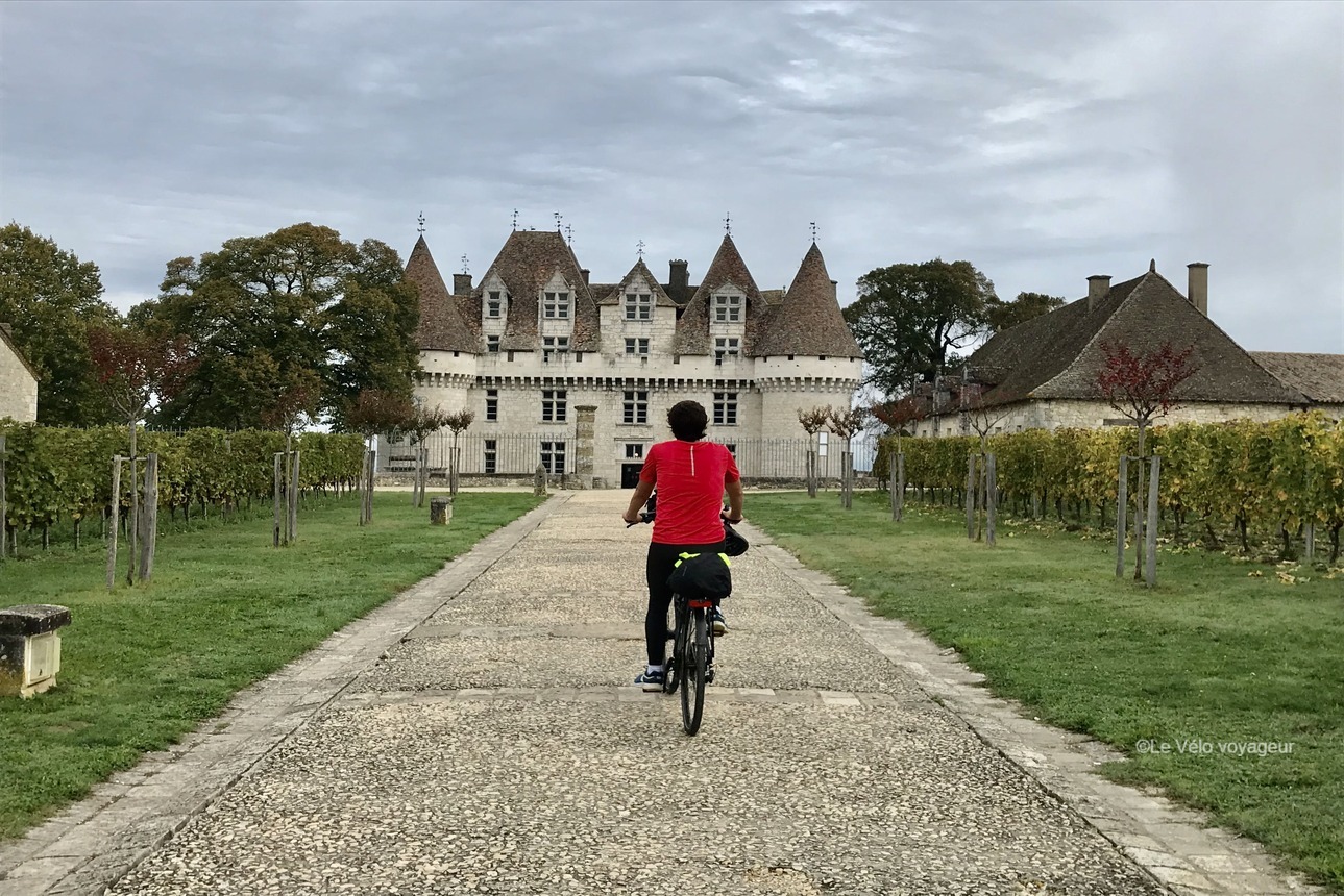 Cycling holiday from Bordeaux vineyards to Dordogne castles