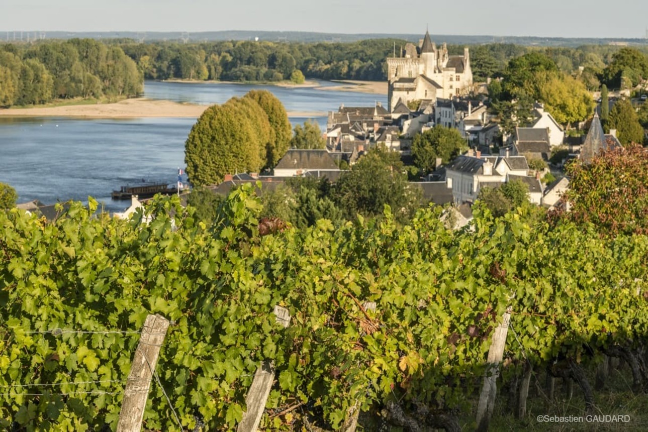 *Luxury trip* Cycling the Loire Valley and its vineyards