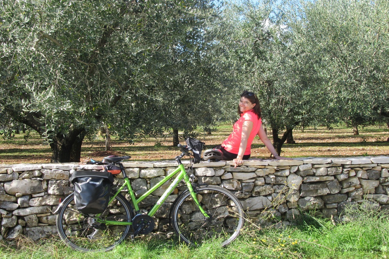 From Italy to Croatia by bike: Trieste to Pula