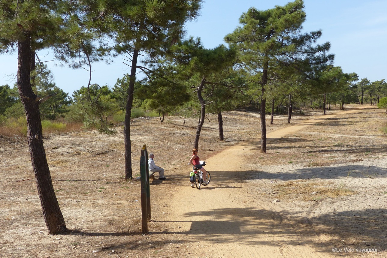 Discovering the Algarve by bike –  Easier version