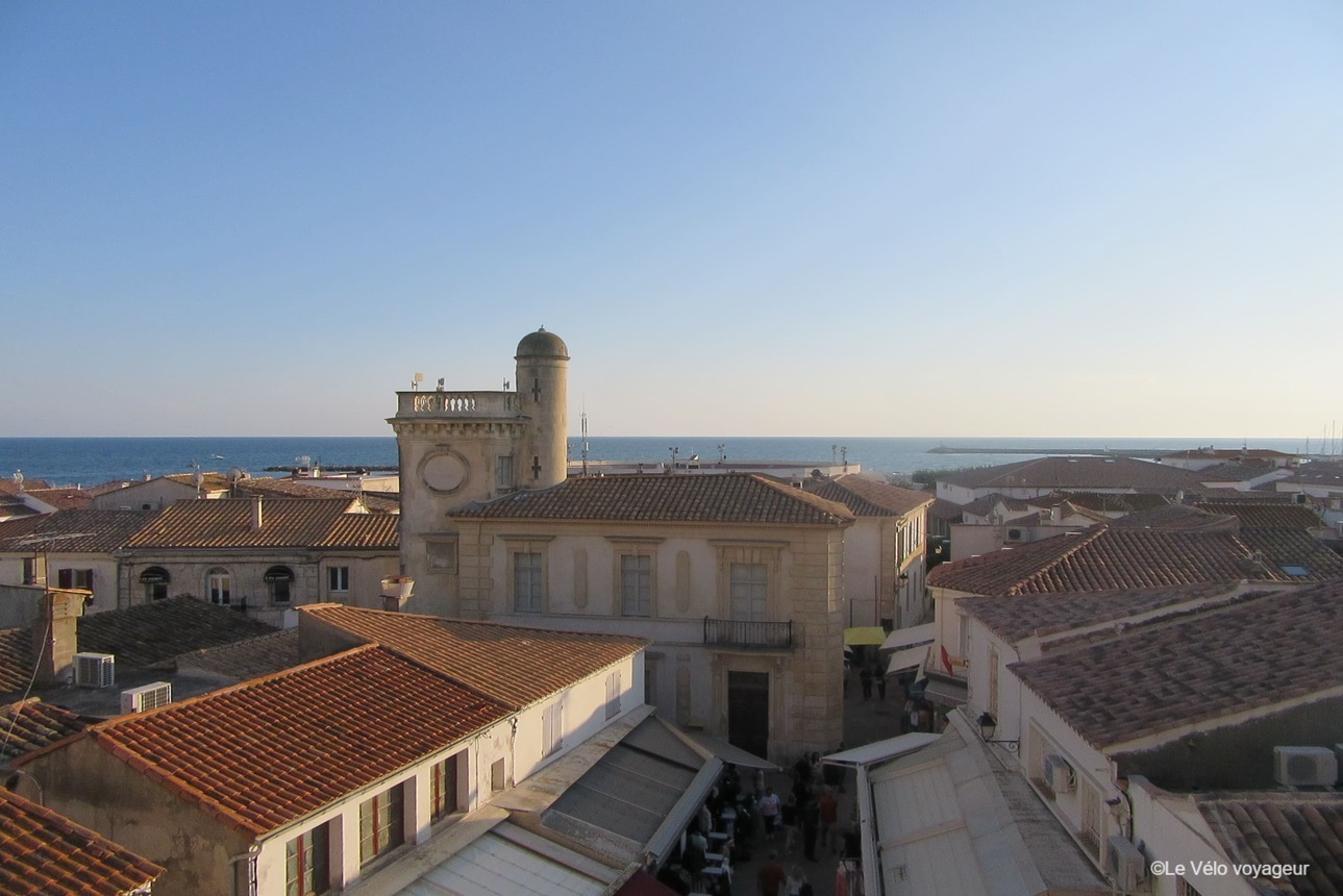 Cycling Provence and Camargue from Avignon to Nimes