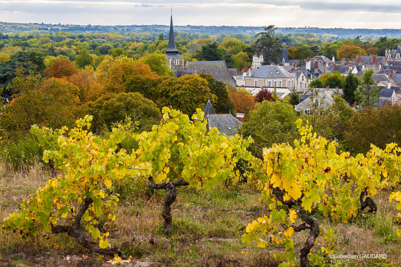 2-week bike trip in the Loire Valley, from Orléans to the ocean