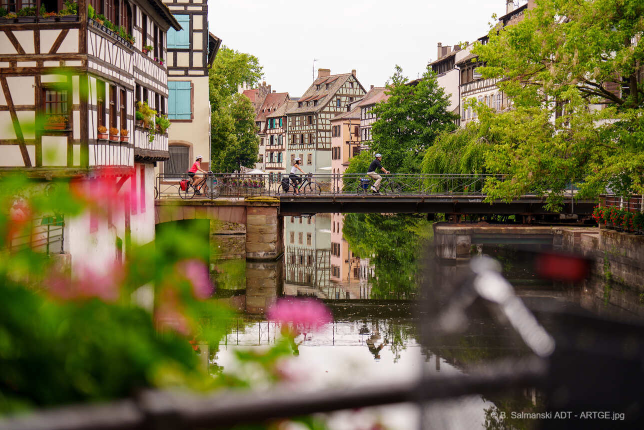 A vélo le long de la route des vins d’Alsace